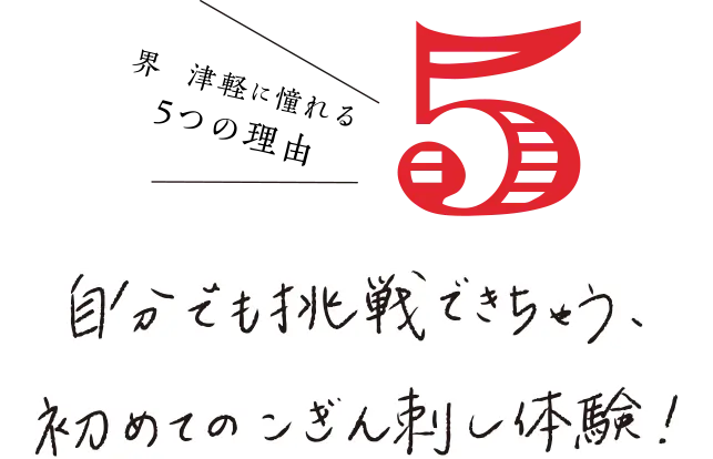 界 津軽に憧れる 5つの理由 自分でも挑戦できちゃう、初めてのこぎん刺し体験！