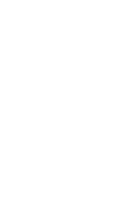 大きな大鰐もやし