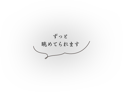 ずっと眺めていられます！