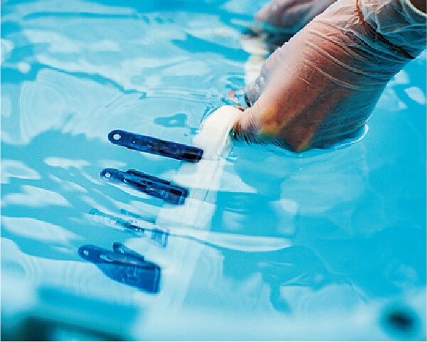 京都ほづ藍工房